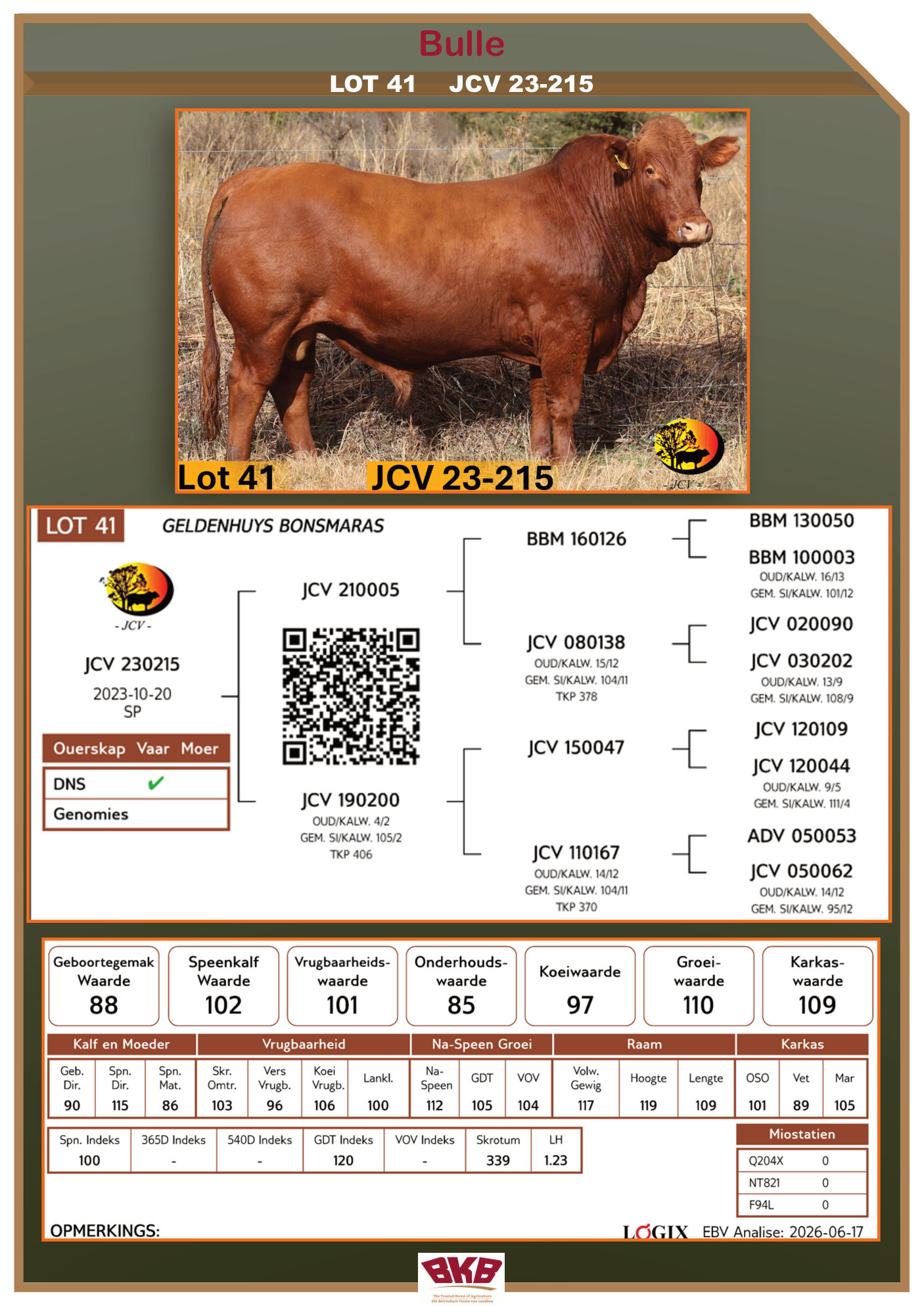 Stamboom vir JCV 23-215