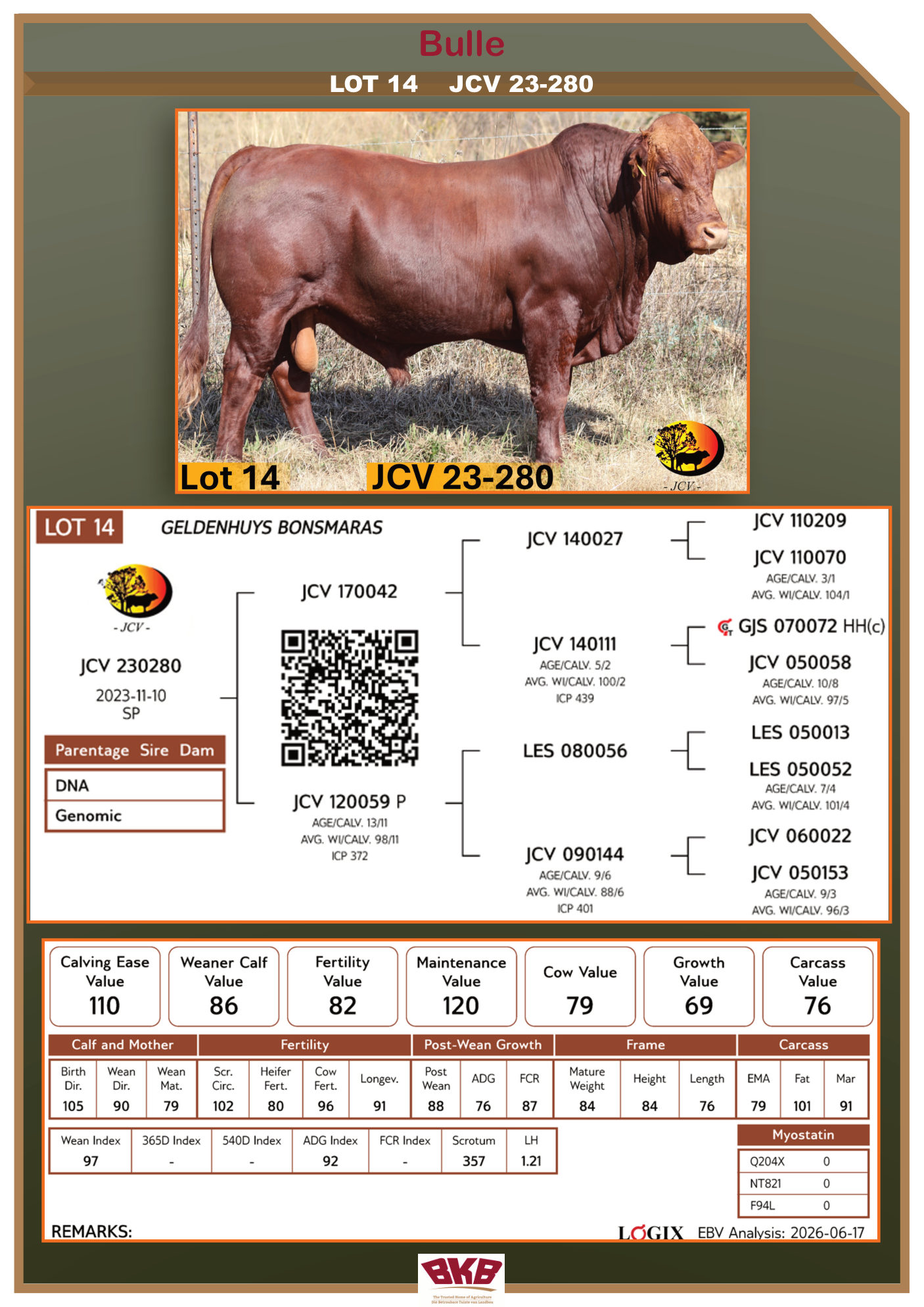 Stamboom vir JCV 23-280