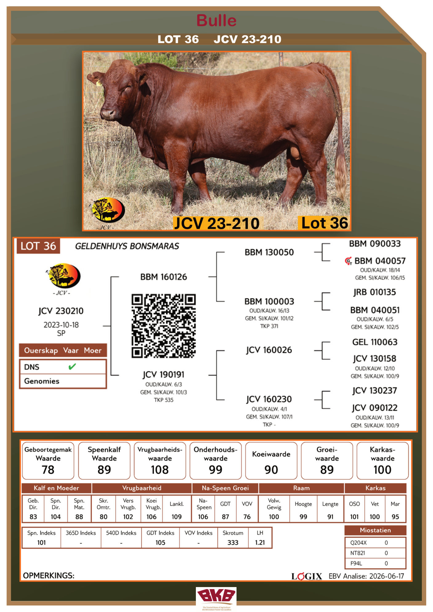 Stamboom vir JCV 23-210
