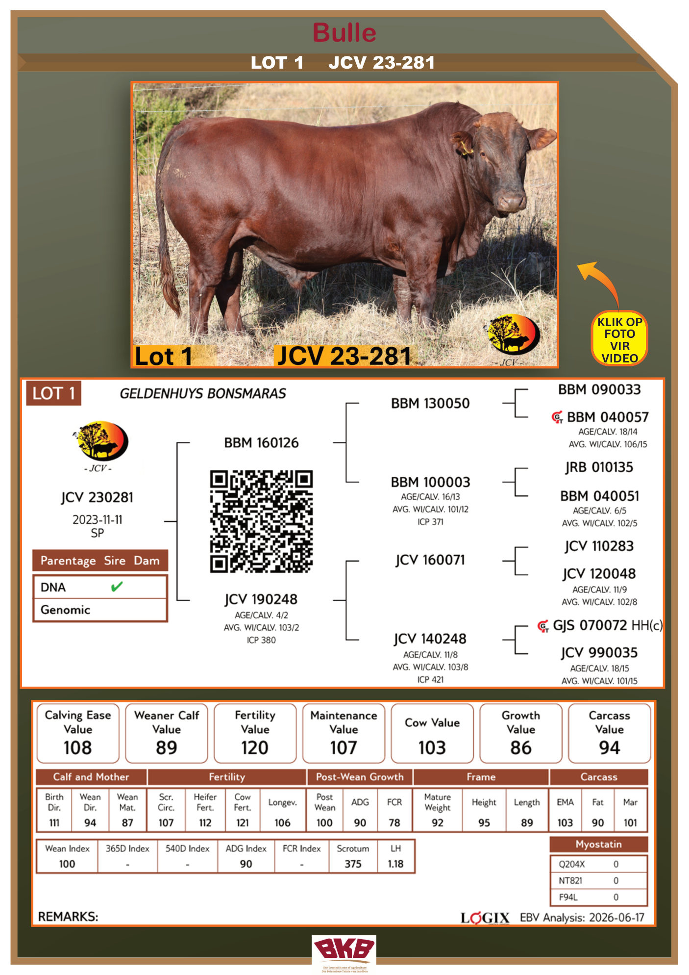 Stamboom vir JCV 23-281