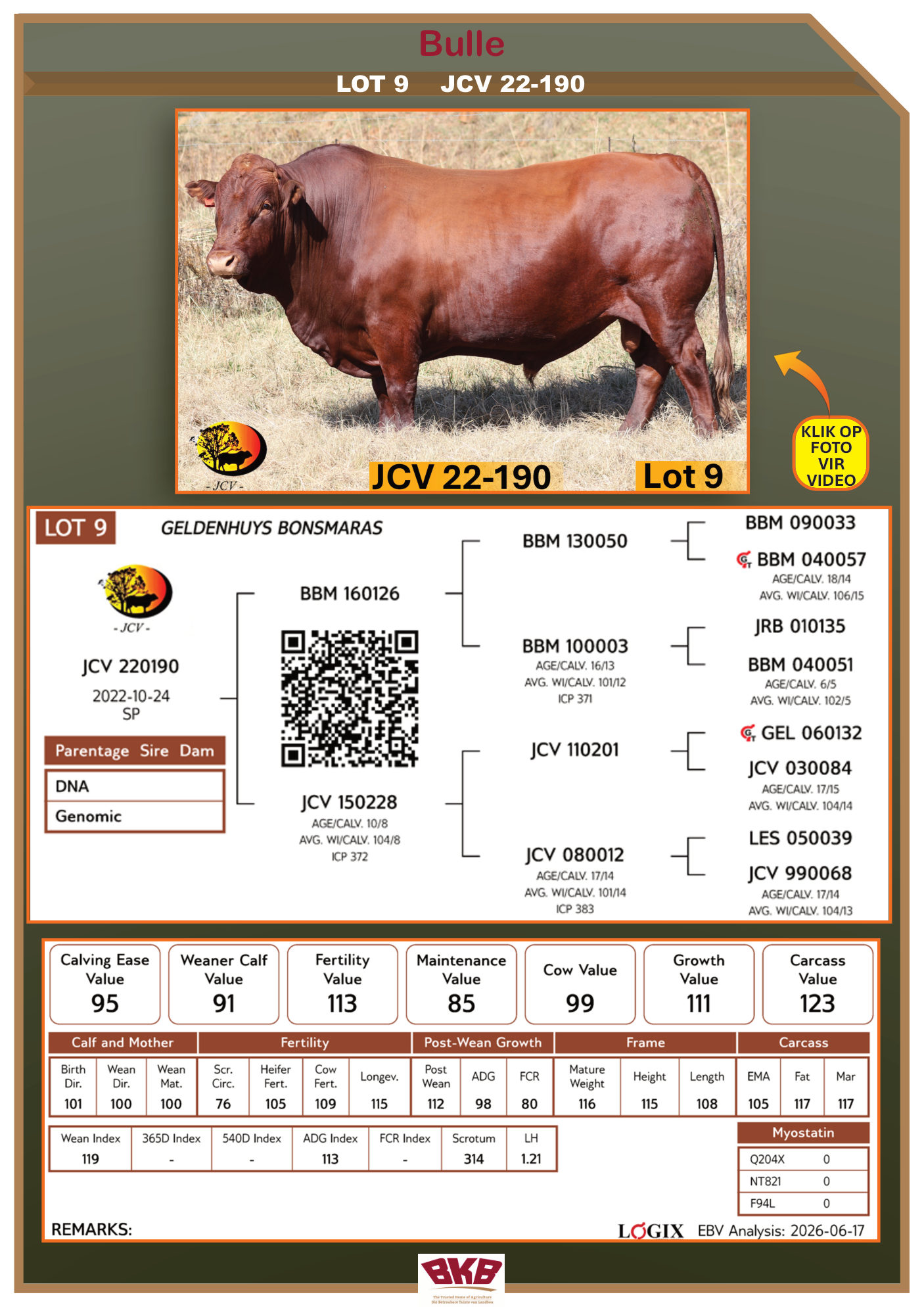 Stamboom vir JCV 22-190