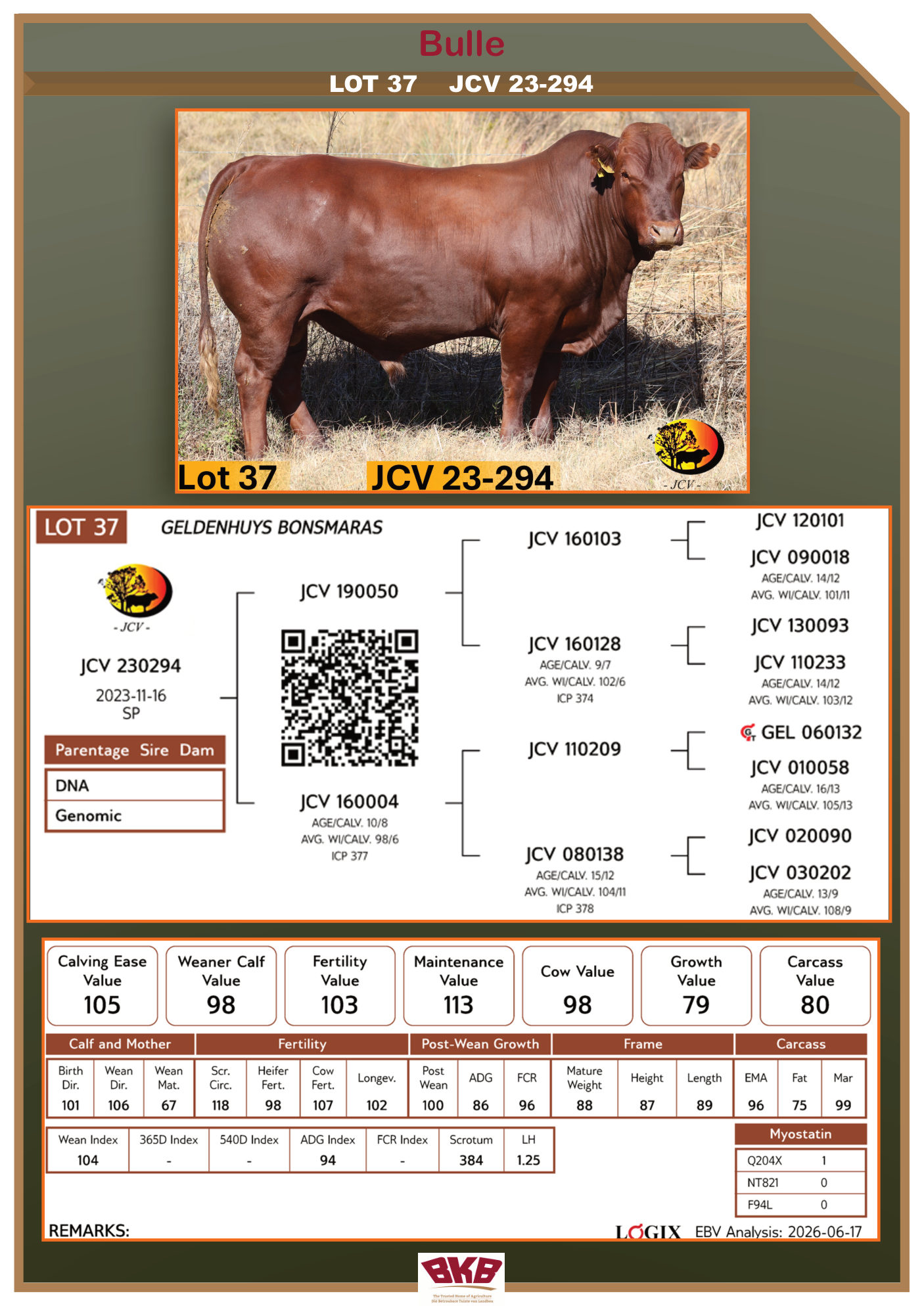Stamboom vir JCV 23-294