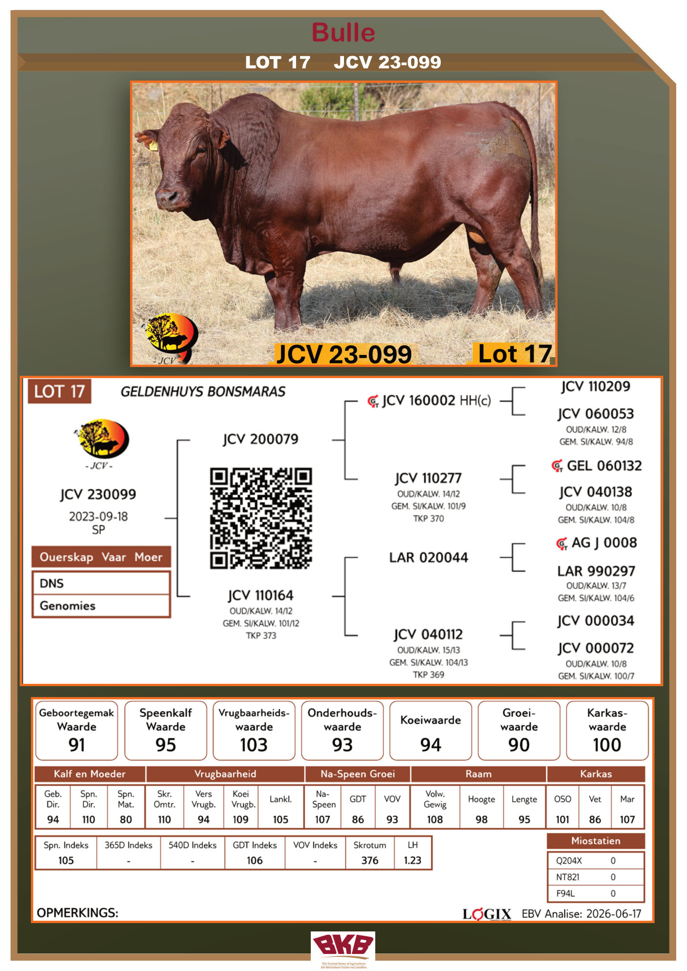 Stamboom vir JCV 23-099