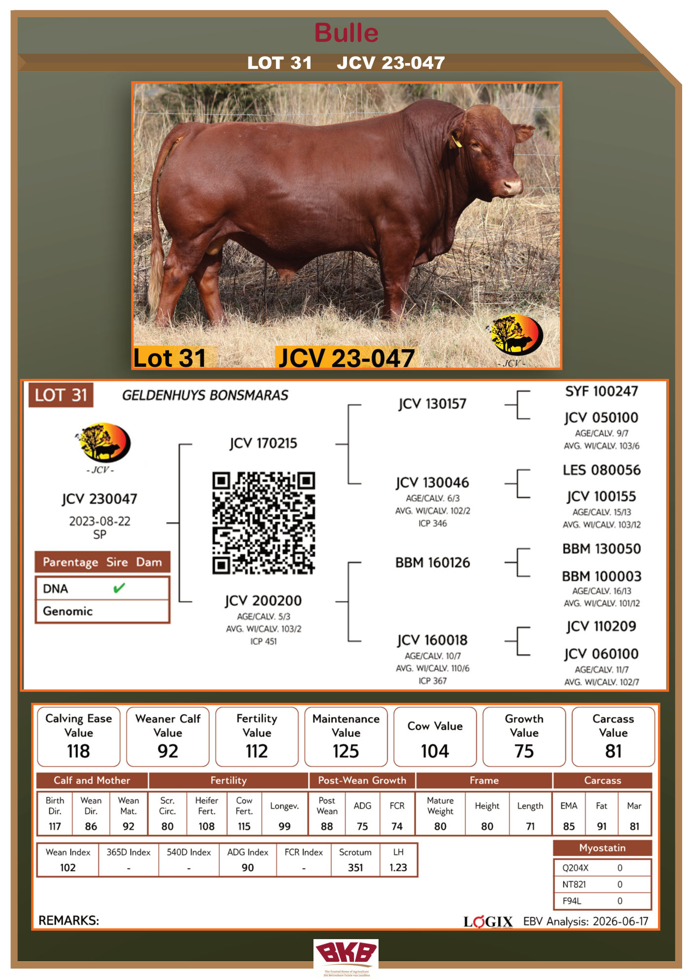 Stamboom vir JCV 23-047