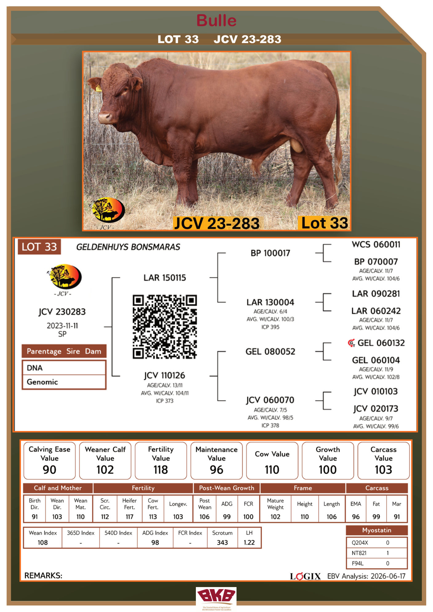 Stamboom vir JCV 23-283