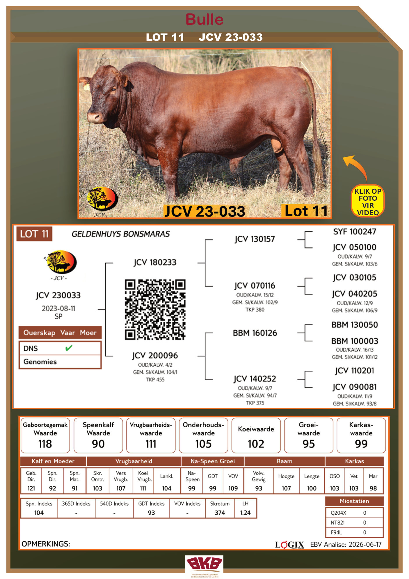 Stamboom vir JCV 23-033