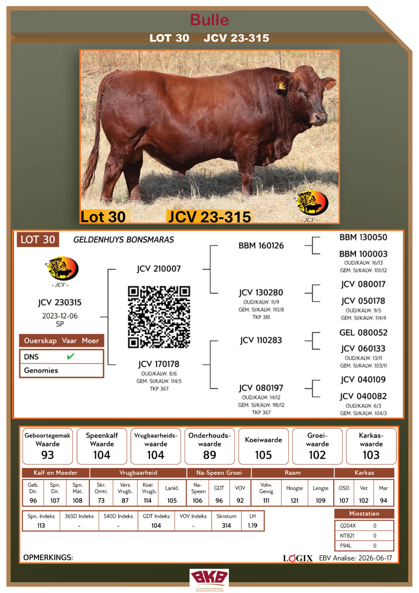 Stamboom vir JCV 23-315