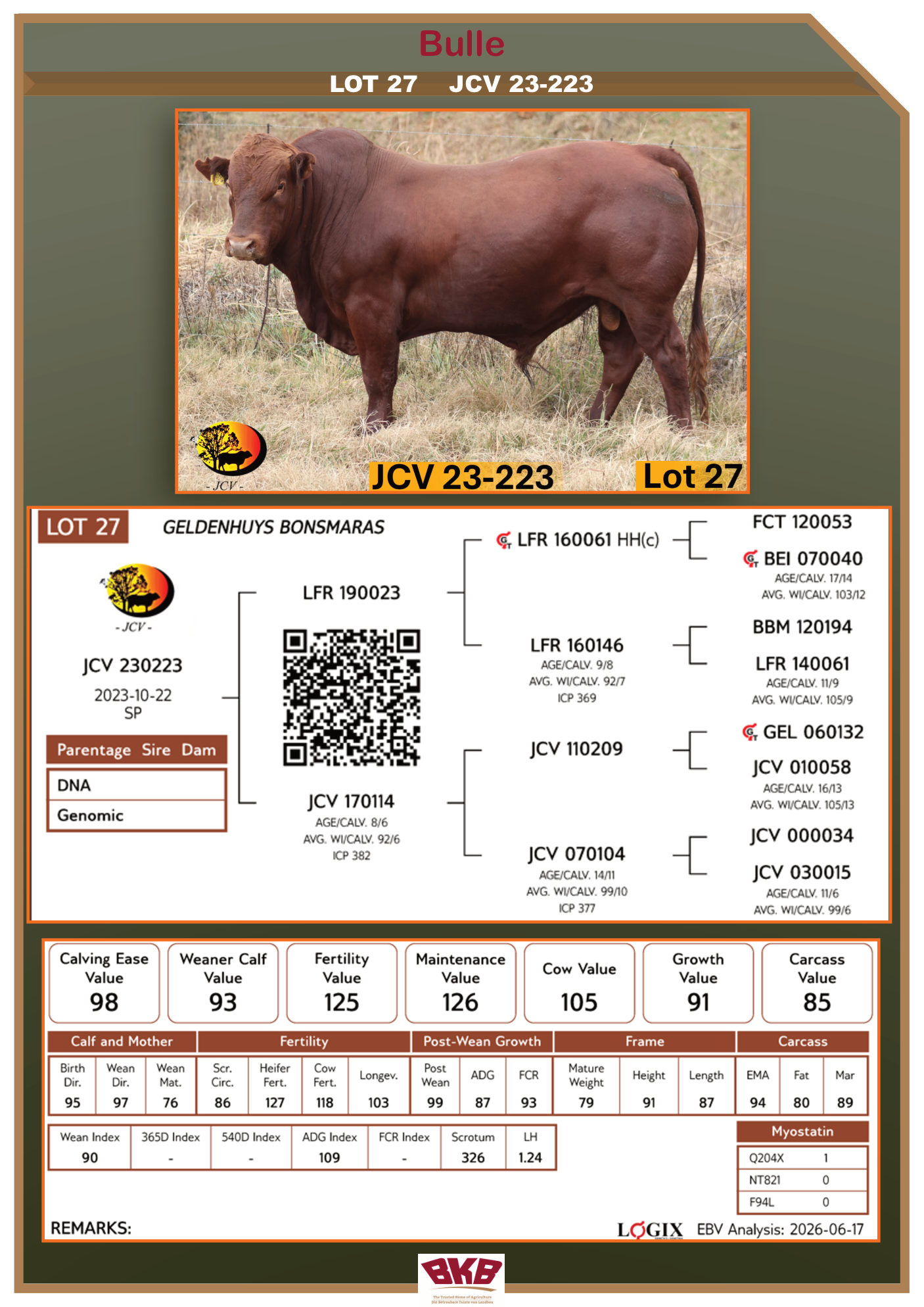 Stamboom vir JCV 23-223