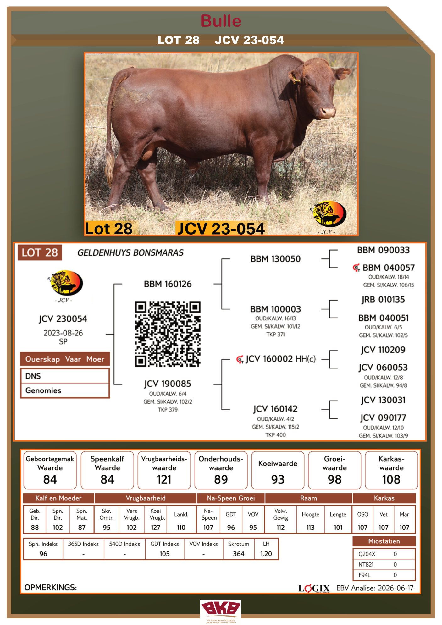 Stamboom vir JCV 23-054