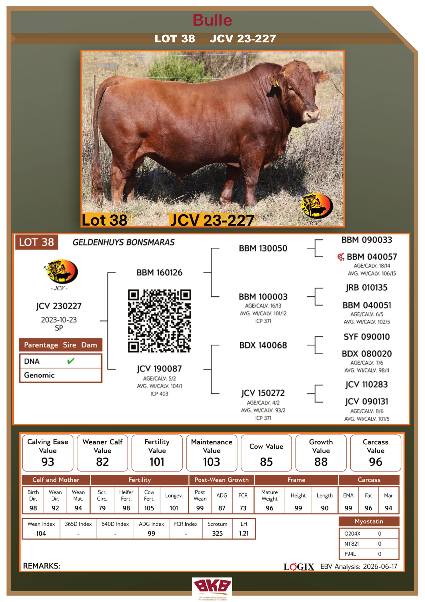 Stamboom vir JCV 23-227