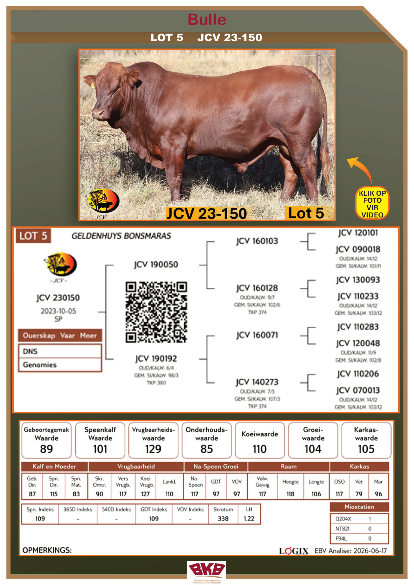 Stamboom vir JCV 23-150