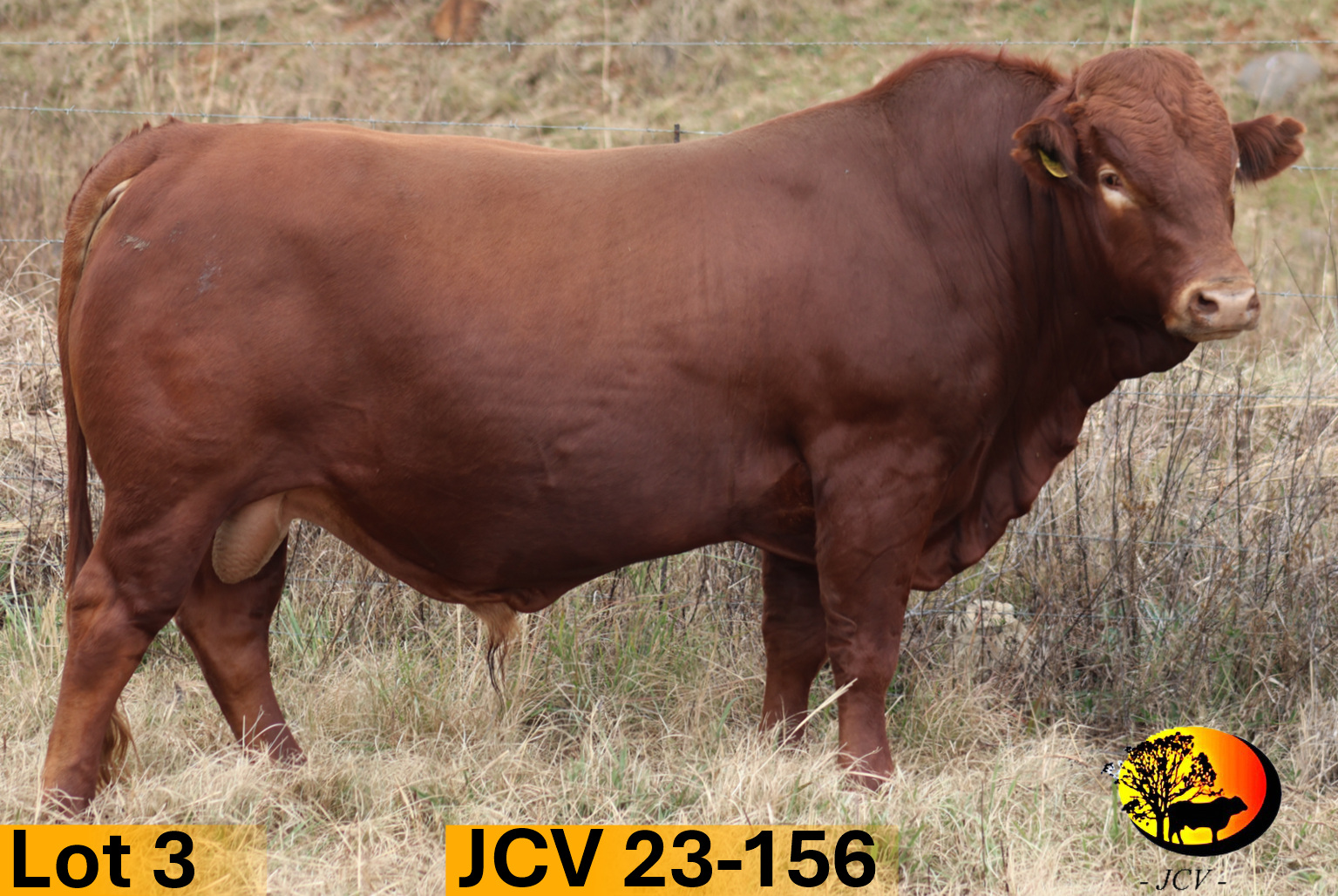 JCV 23-156 — Lot 03