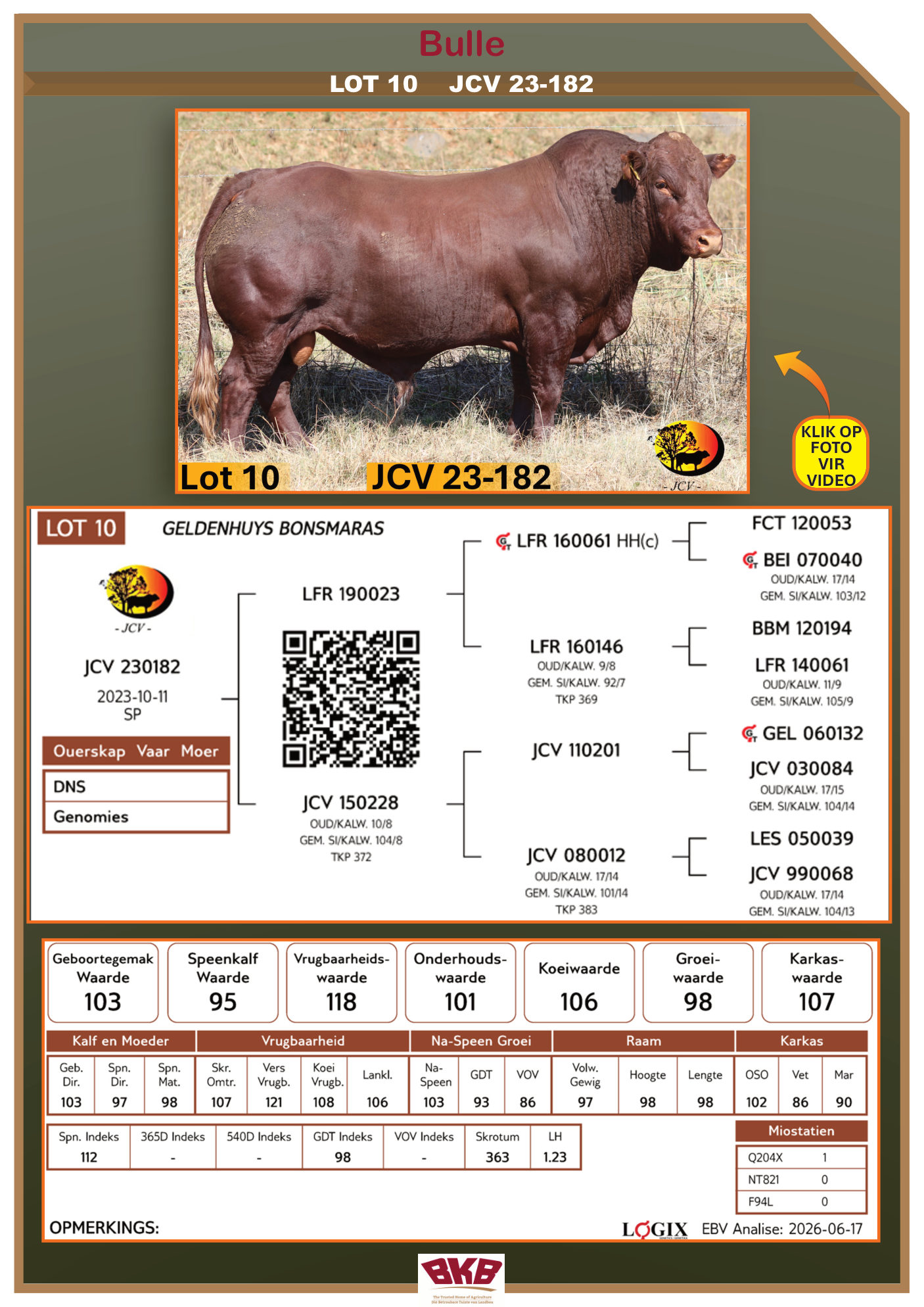 Stamboom vir JCV 23-182