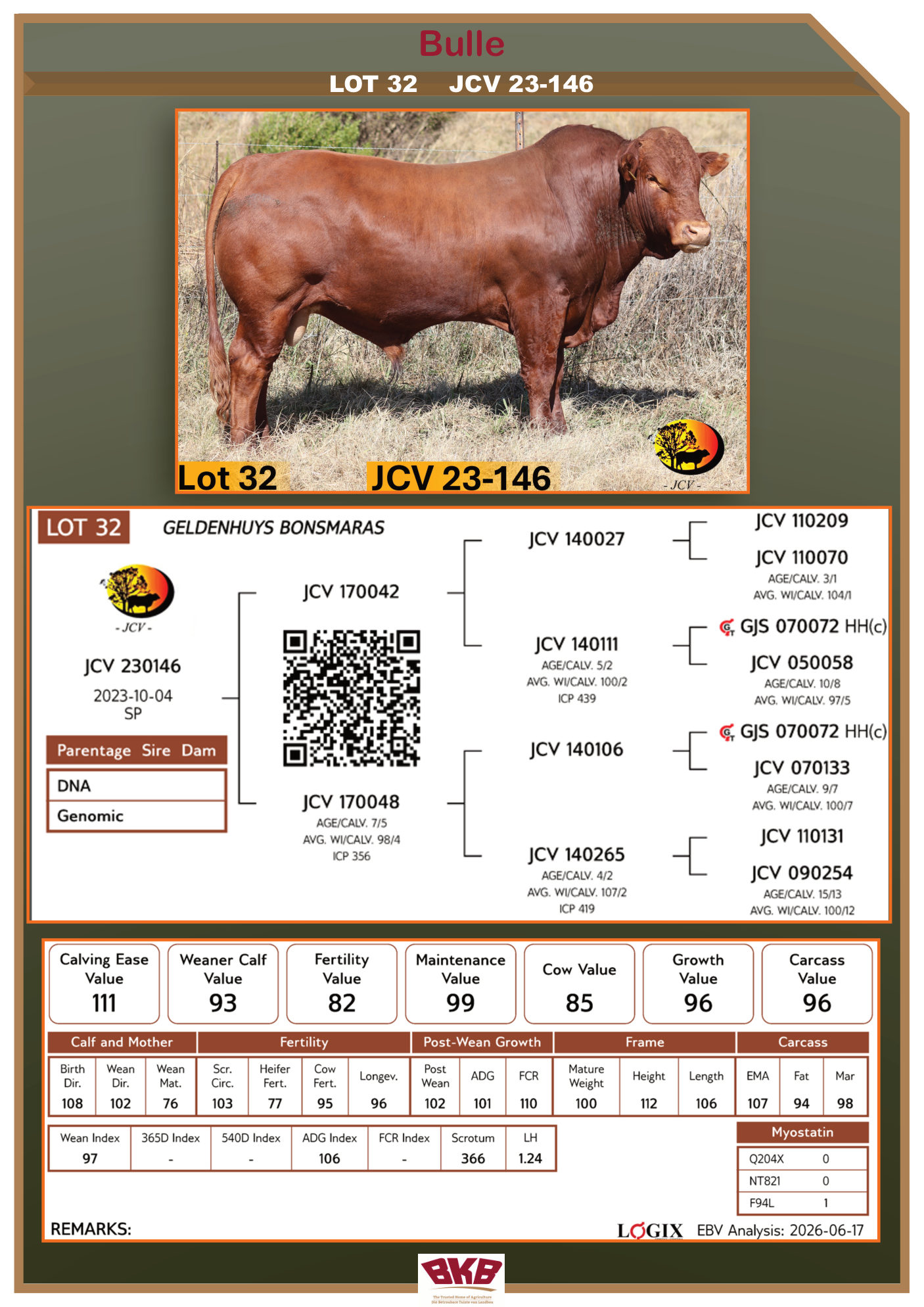 Stamboom vir JCV 23-146