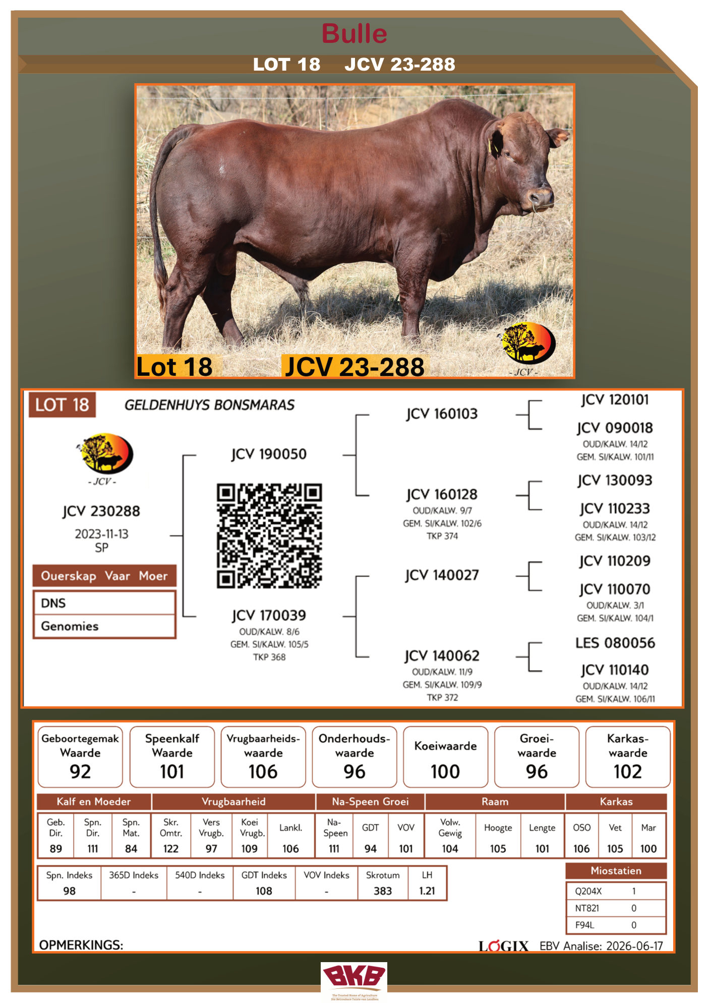 Stamboom vir JCV 23-288