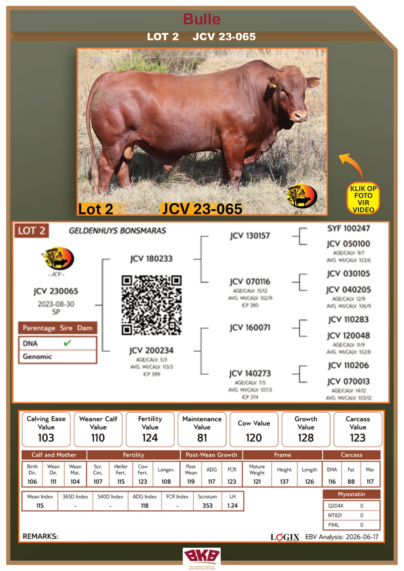 Stamboom vir JCV 23-065