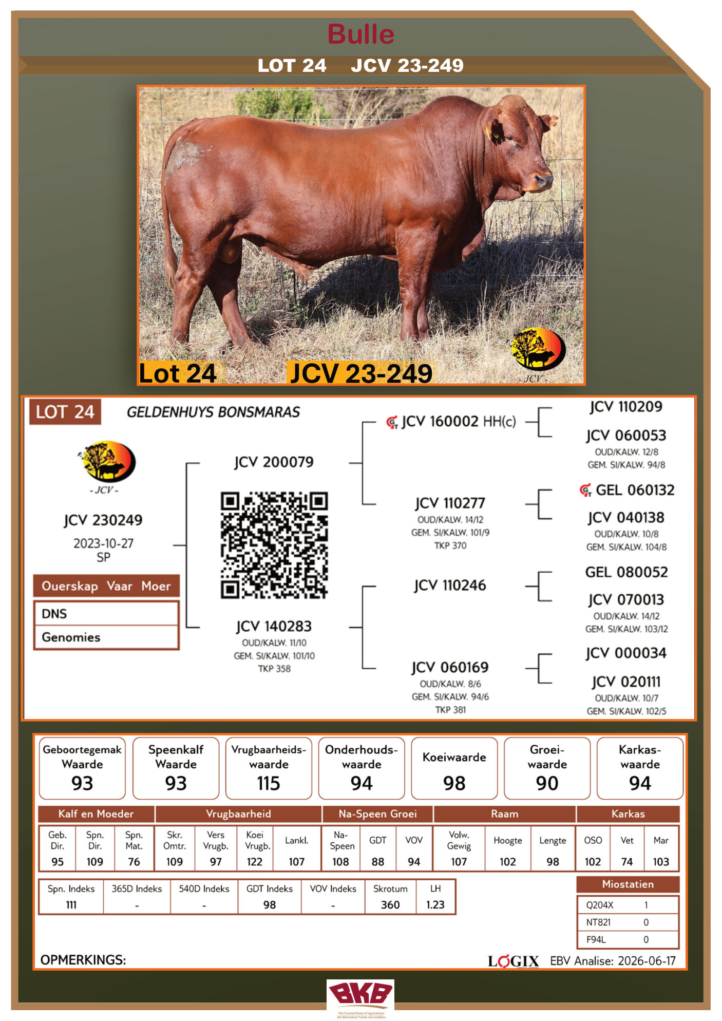 Stamboom vir JCV 23-249