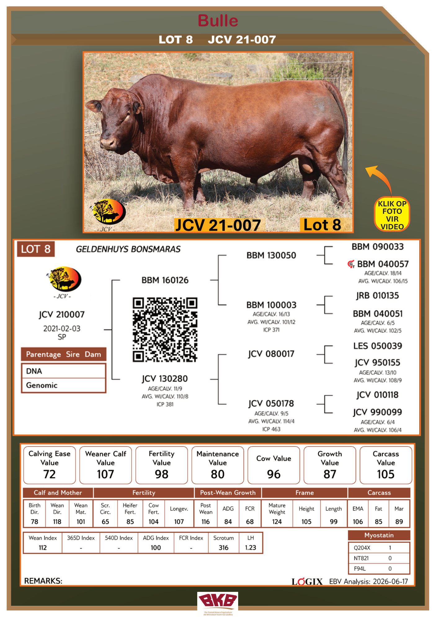 Stamboom vir JCV 21-007