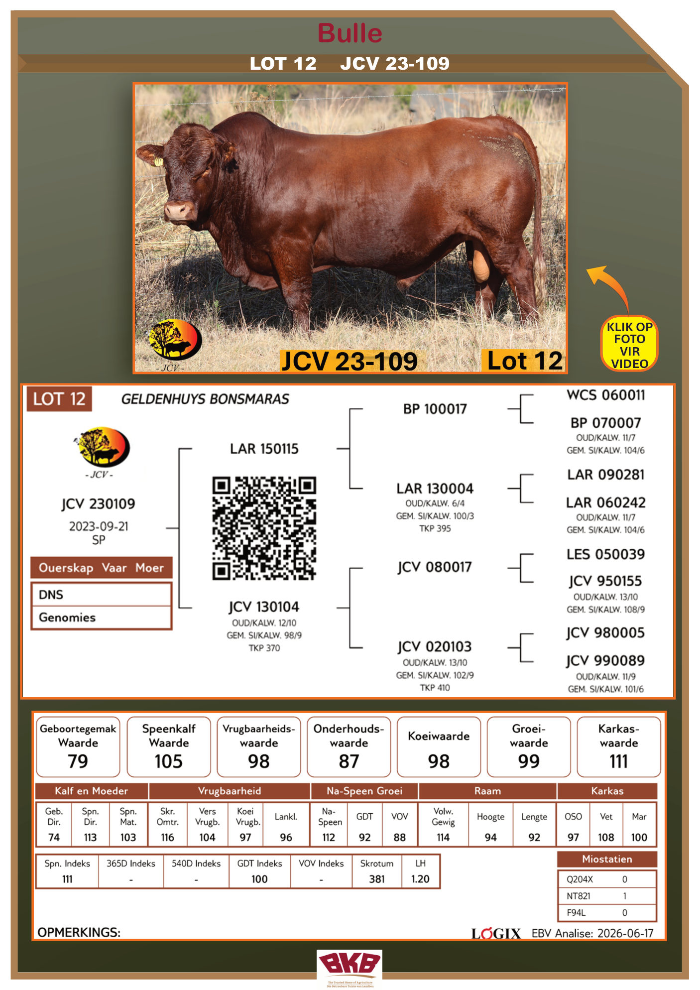 Stamboom vir JCV 23-109