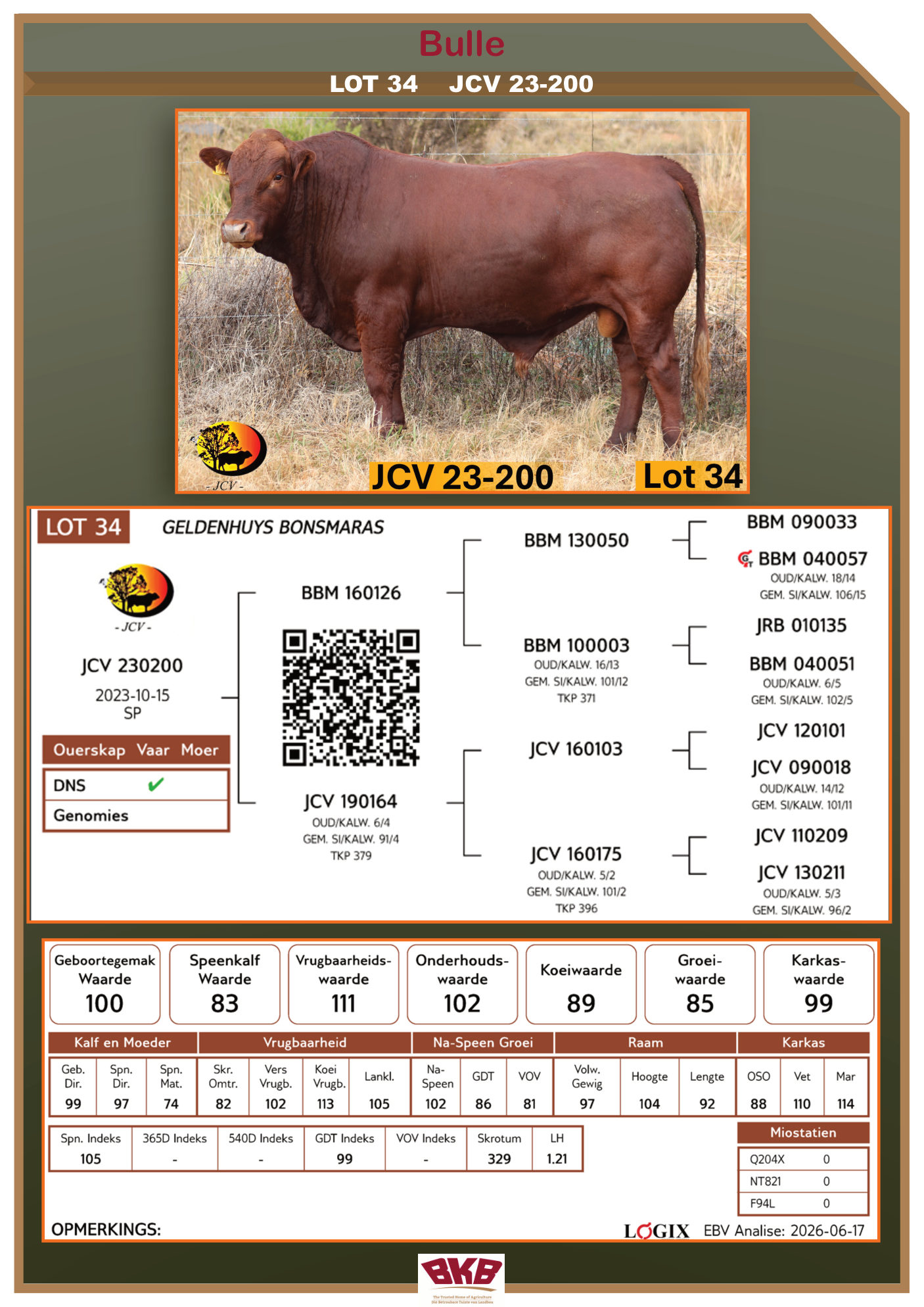 Stamboom vir JCV 23-200