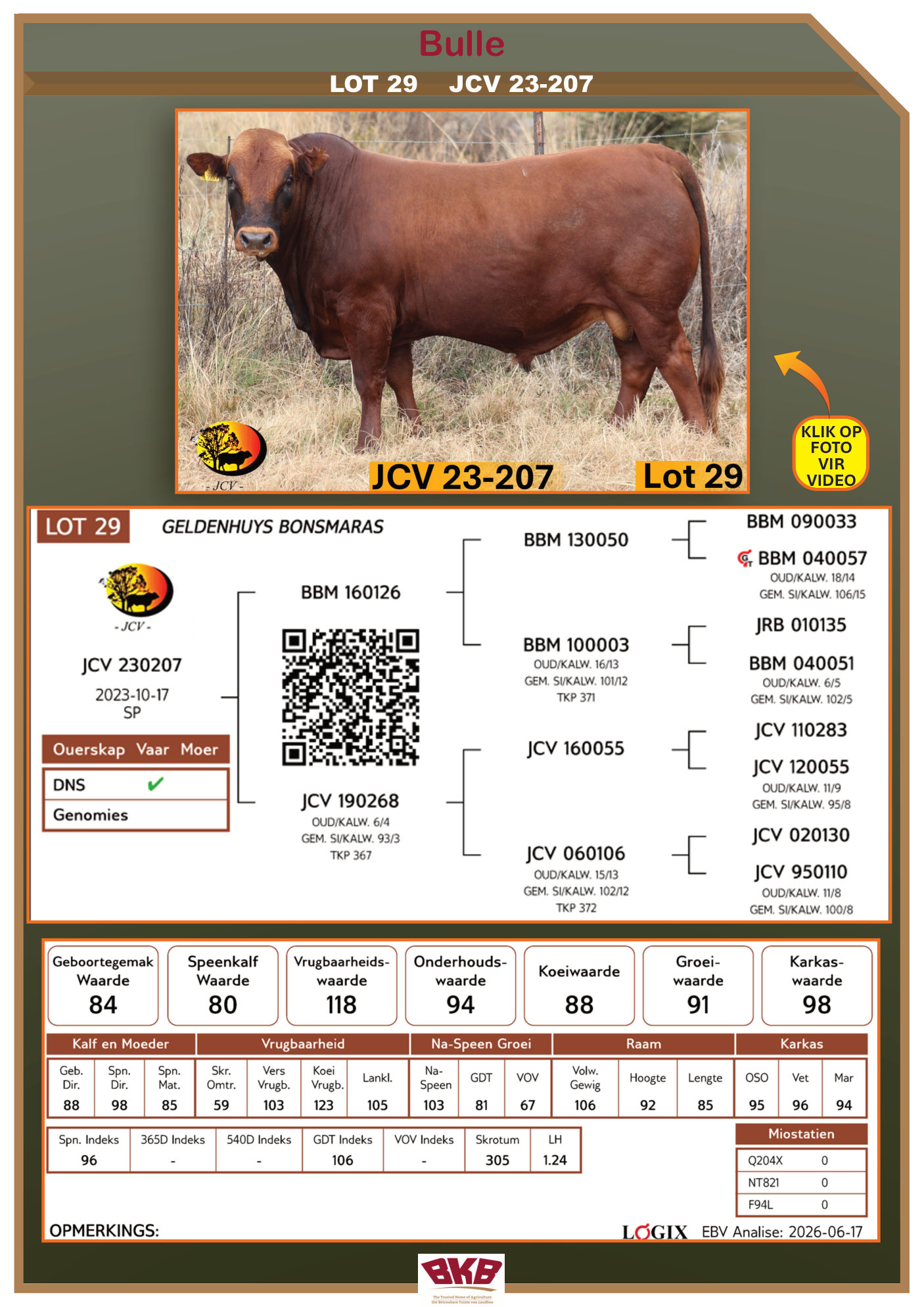 Stamboom vir JCV 23-207