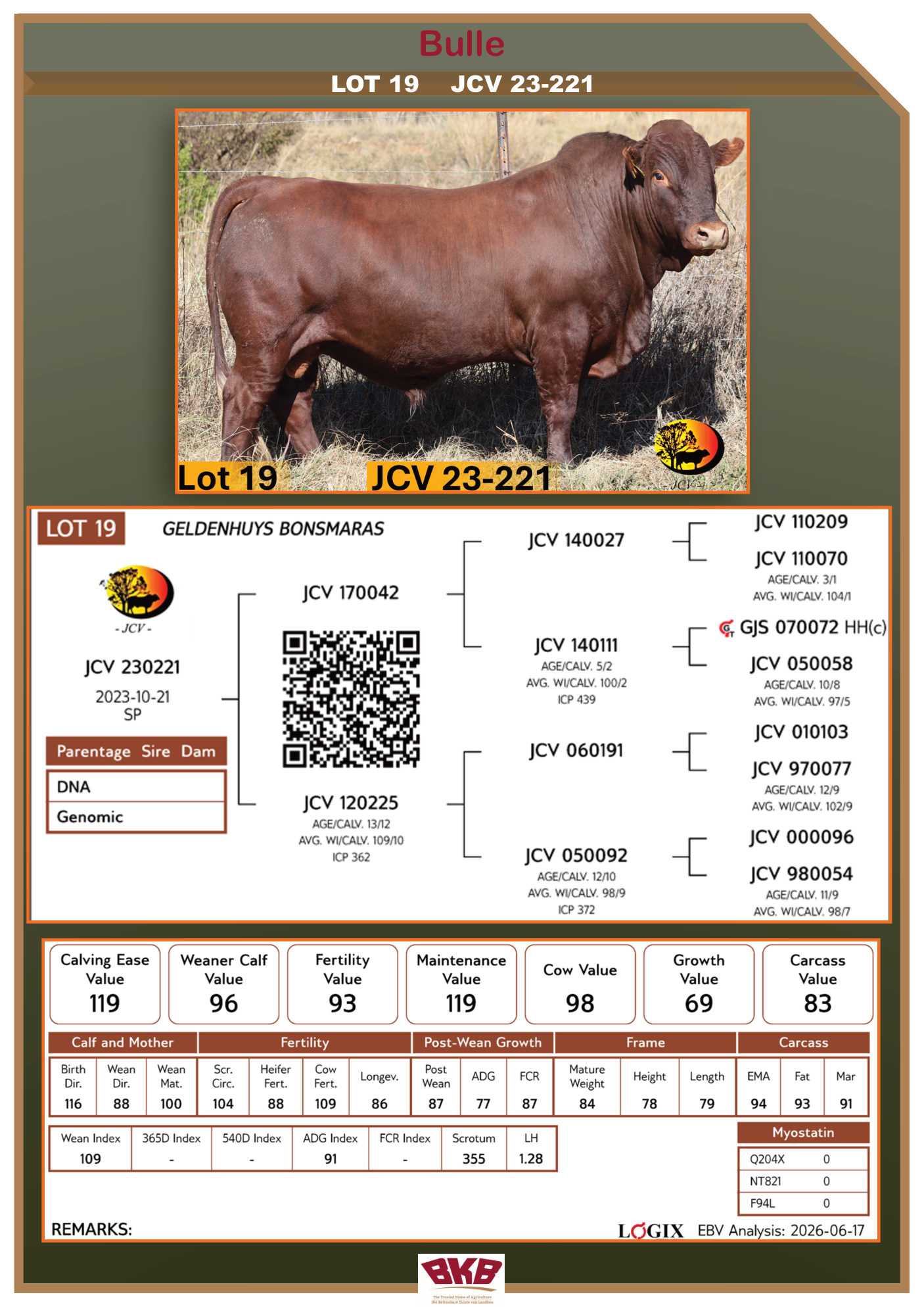 Stamboom vir JCV 23-221