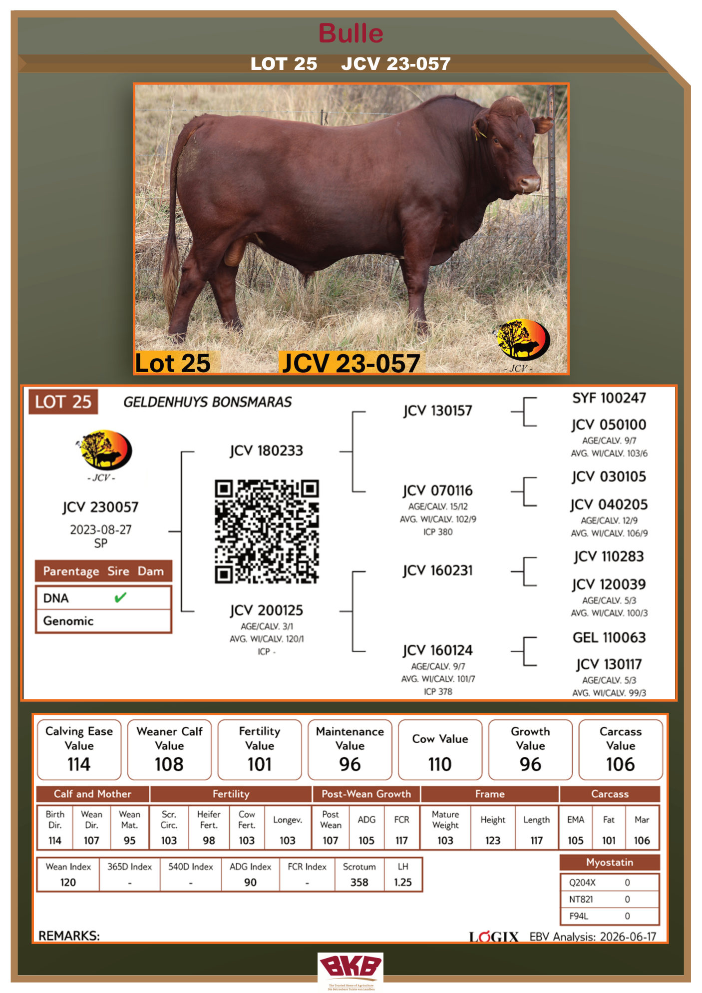 Stamboom vir JCV 23-057