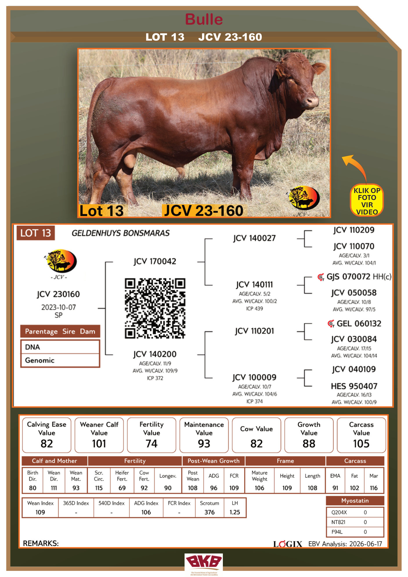 Stamboom vir JCV 23-160