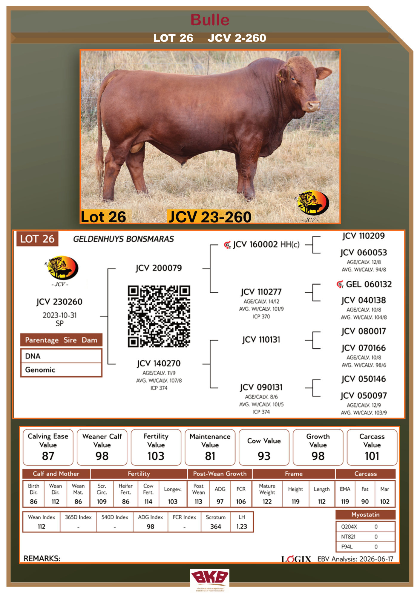 Stamboom vir JCV 22-260